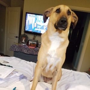 Meet your Posher, Todd